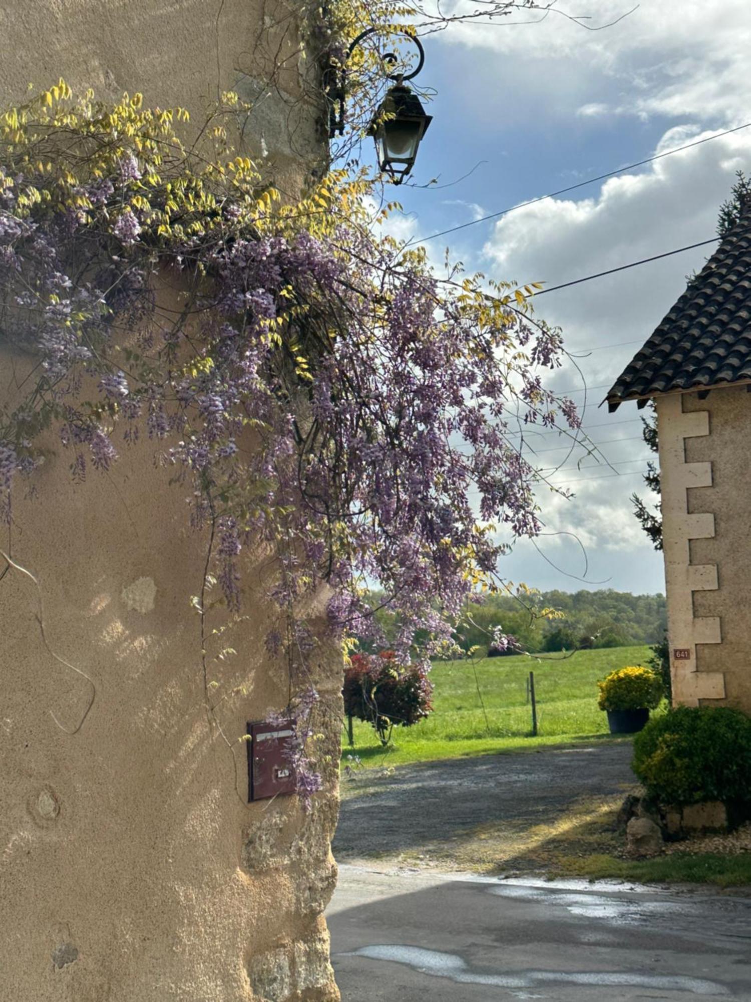 Le Chatenet 1689 Brantôme Exterior foto